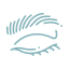 eyebrow